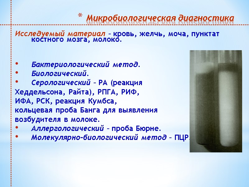 Микробиологическая диагностика  Исследуемый материал – кровь, желчь, моча, пунктат костного мозга, молоко. 